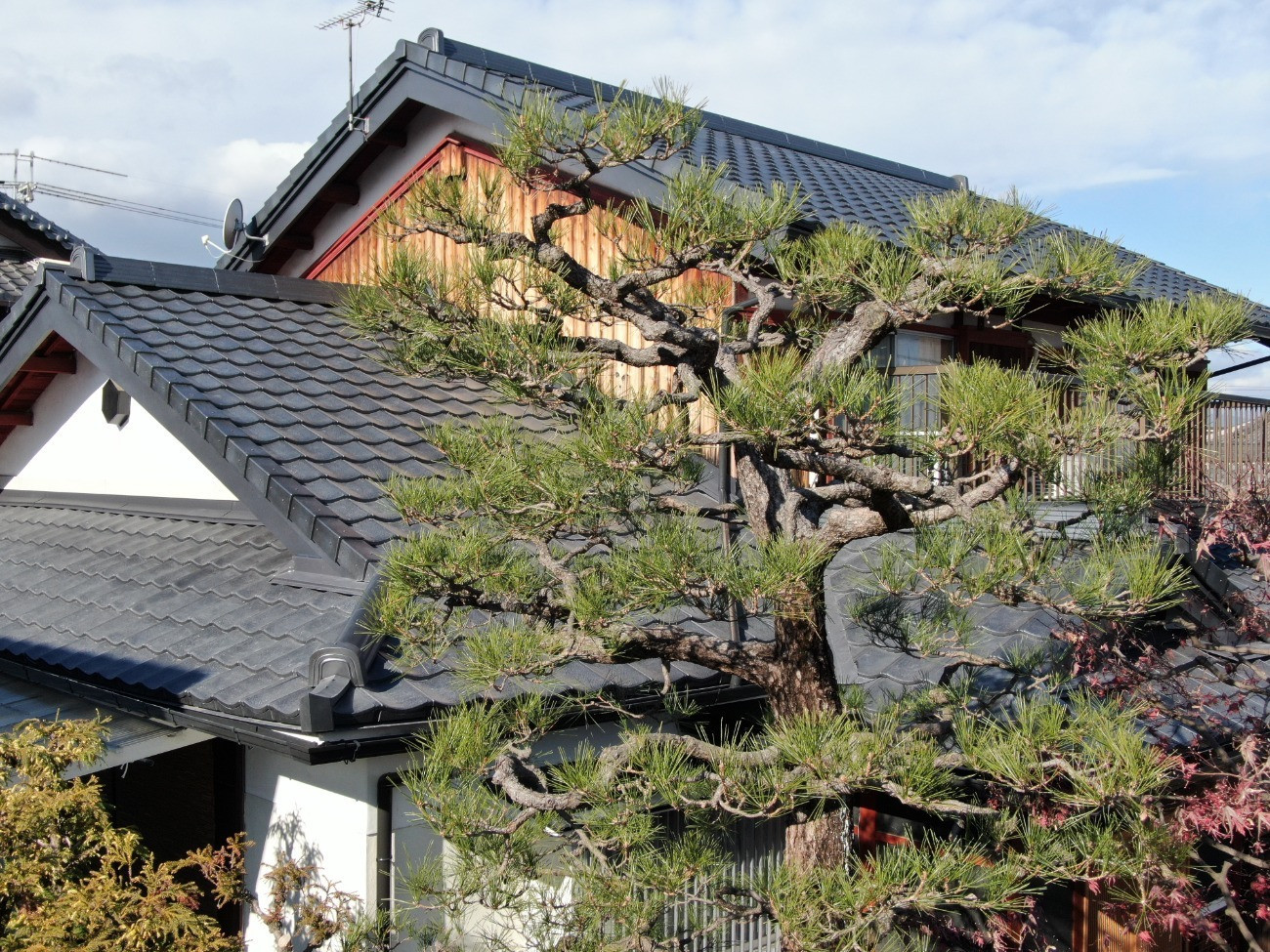写真：リフォーム事例
