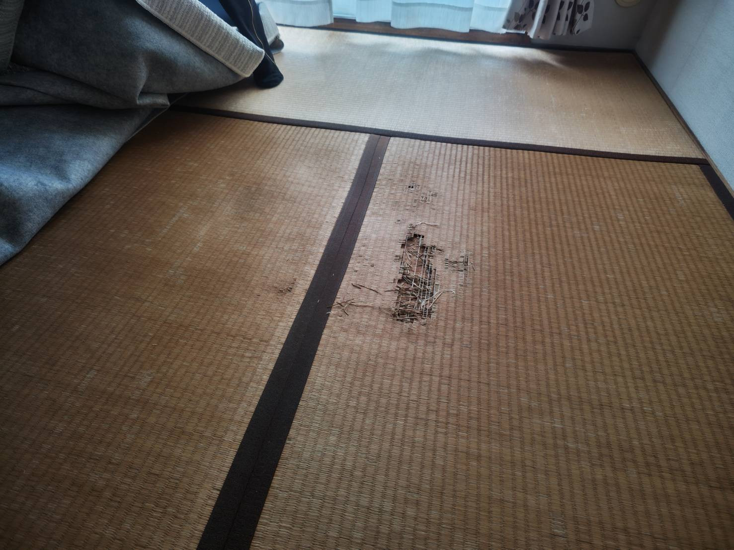 写真：事例