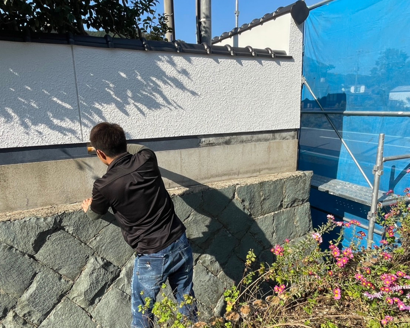 写真:事例