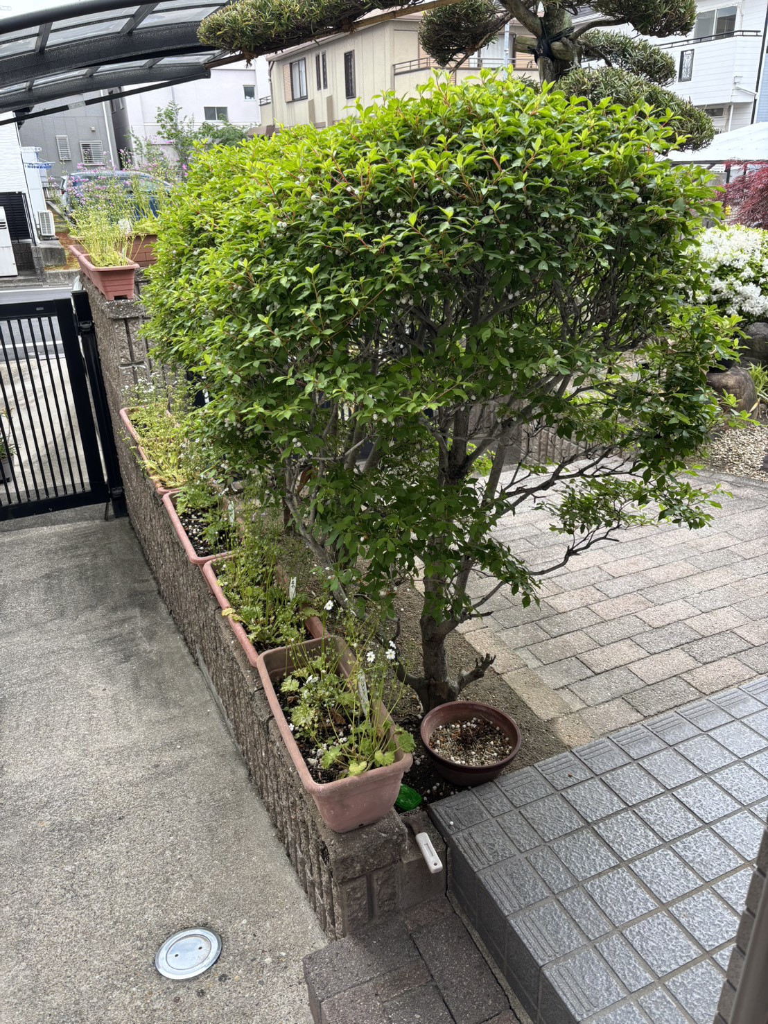 写真：事例