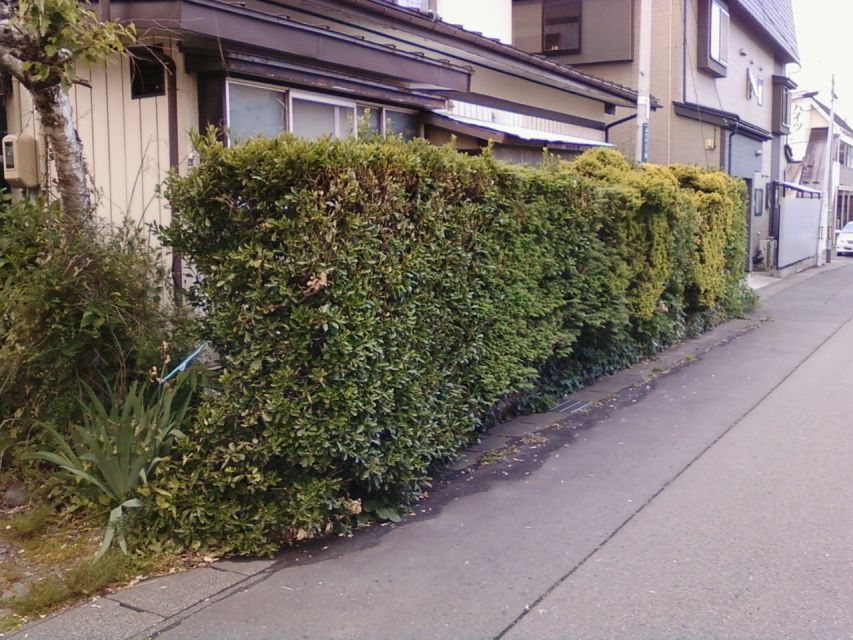 写真：リフォーム事例