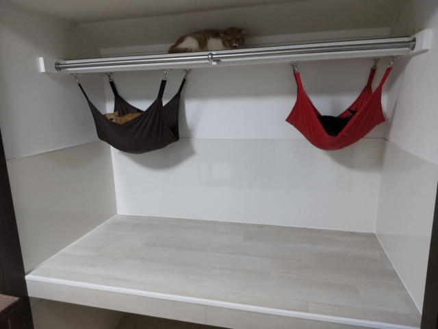 写真：事業者画像