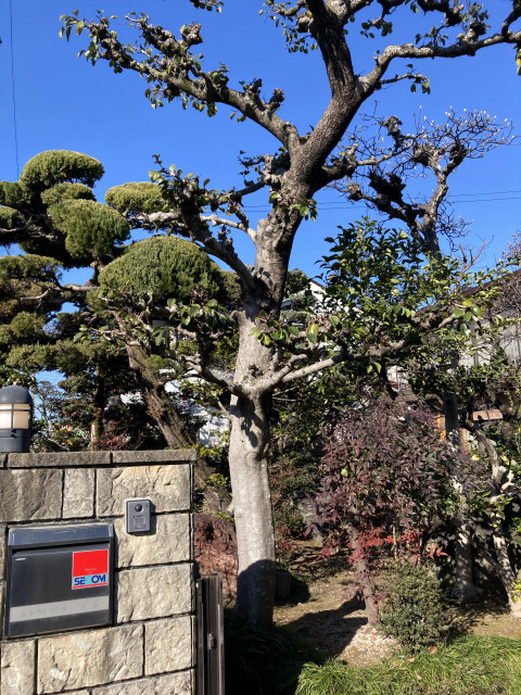 写真：リフォーム事例