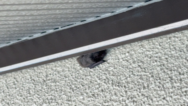 写真：リフォーム事例