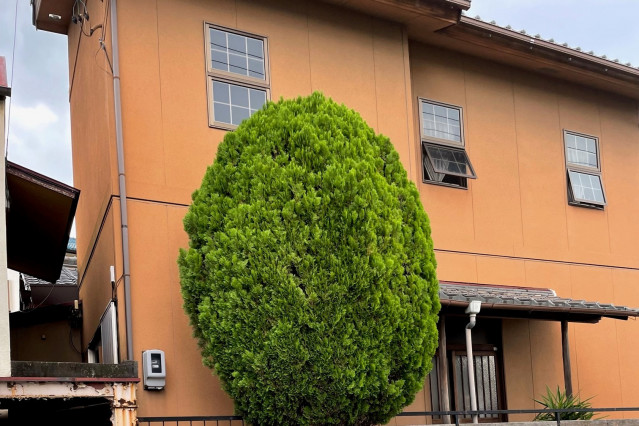 写真：リフォーム事例
