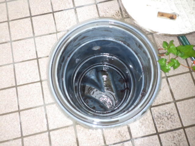 写真：事業者画像