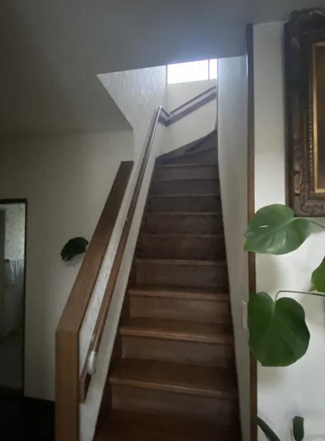 写真：事業者画像