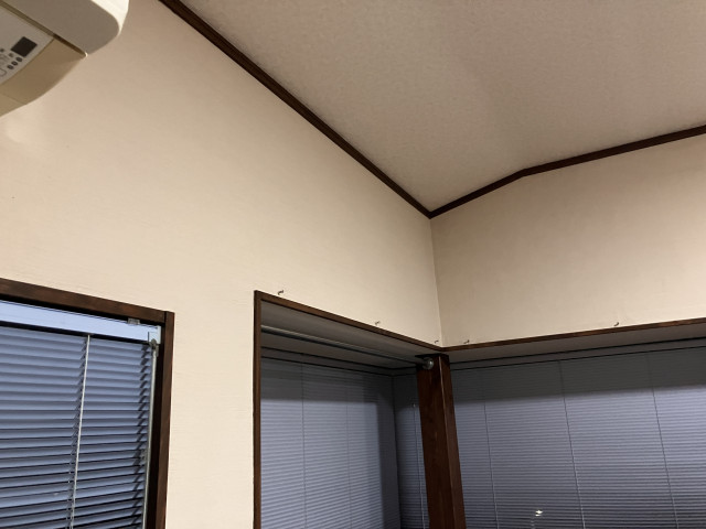 写真：事業者画像