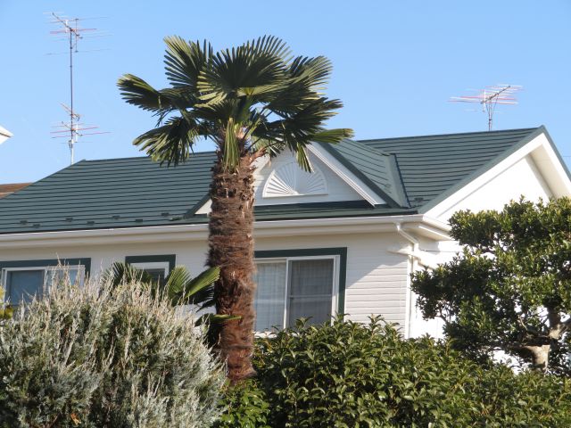 写真：リフォーム事例