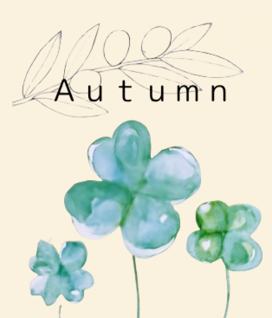 写真：リフォーム業者写真