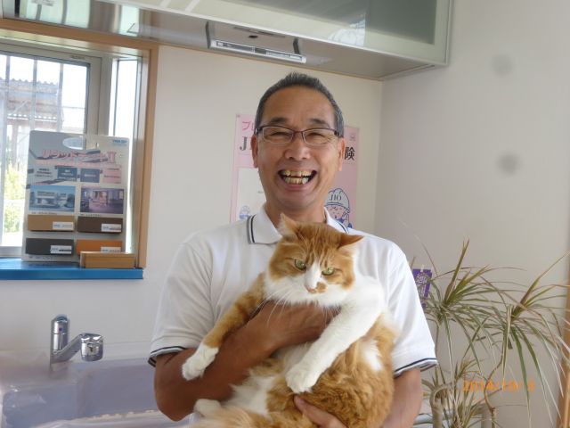 写真: