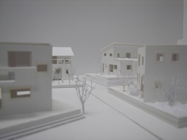 写真：