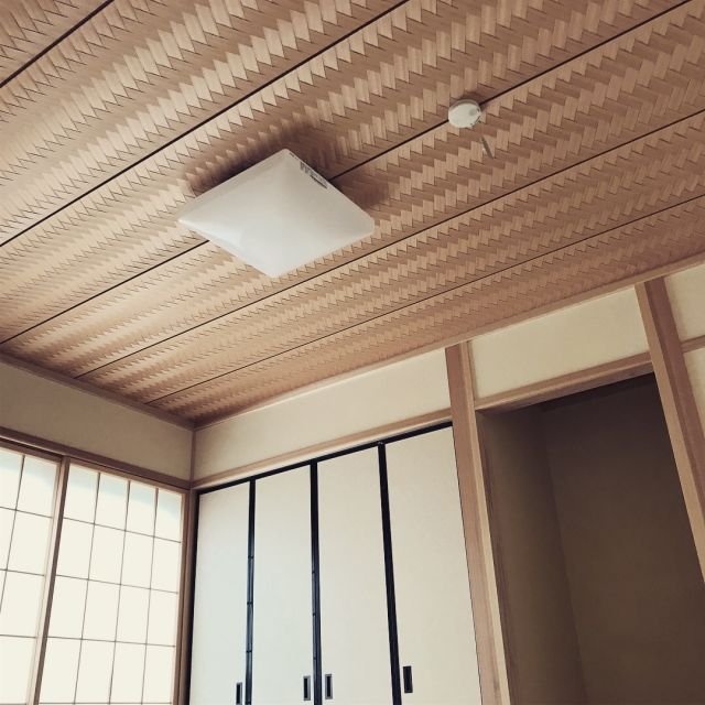 写真：