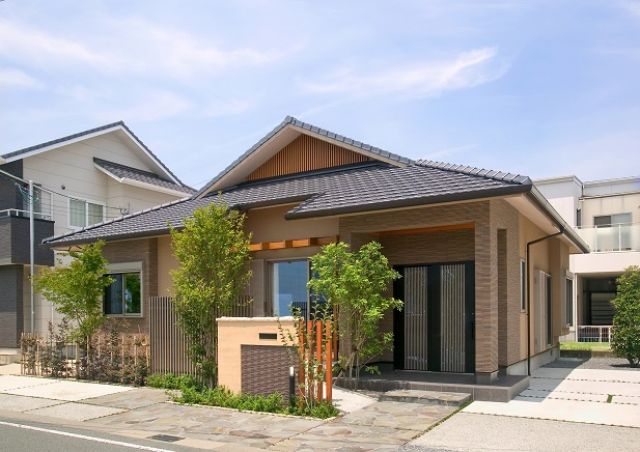 写真：