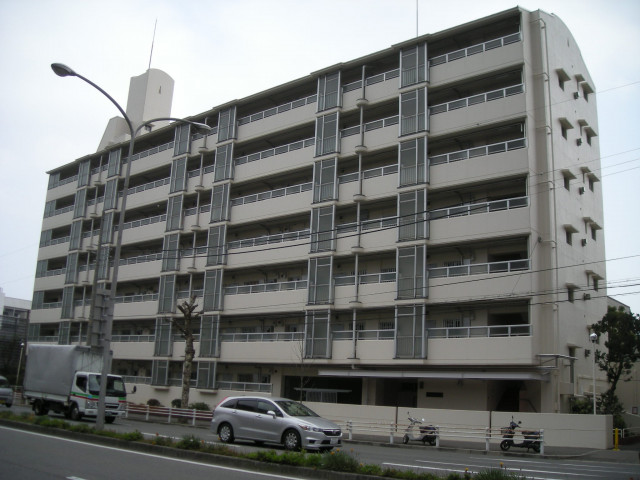 写真：