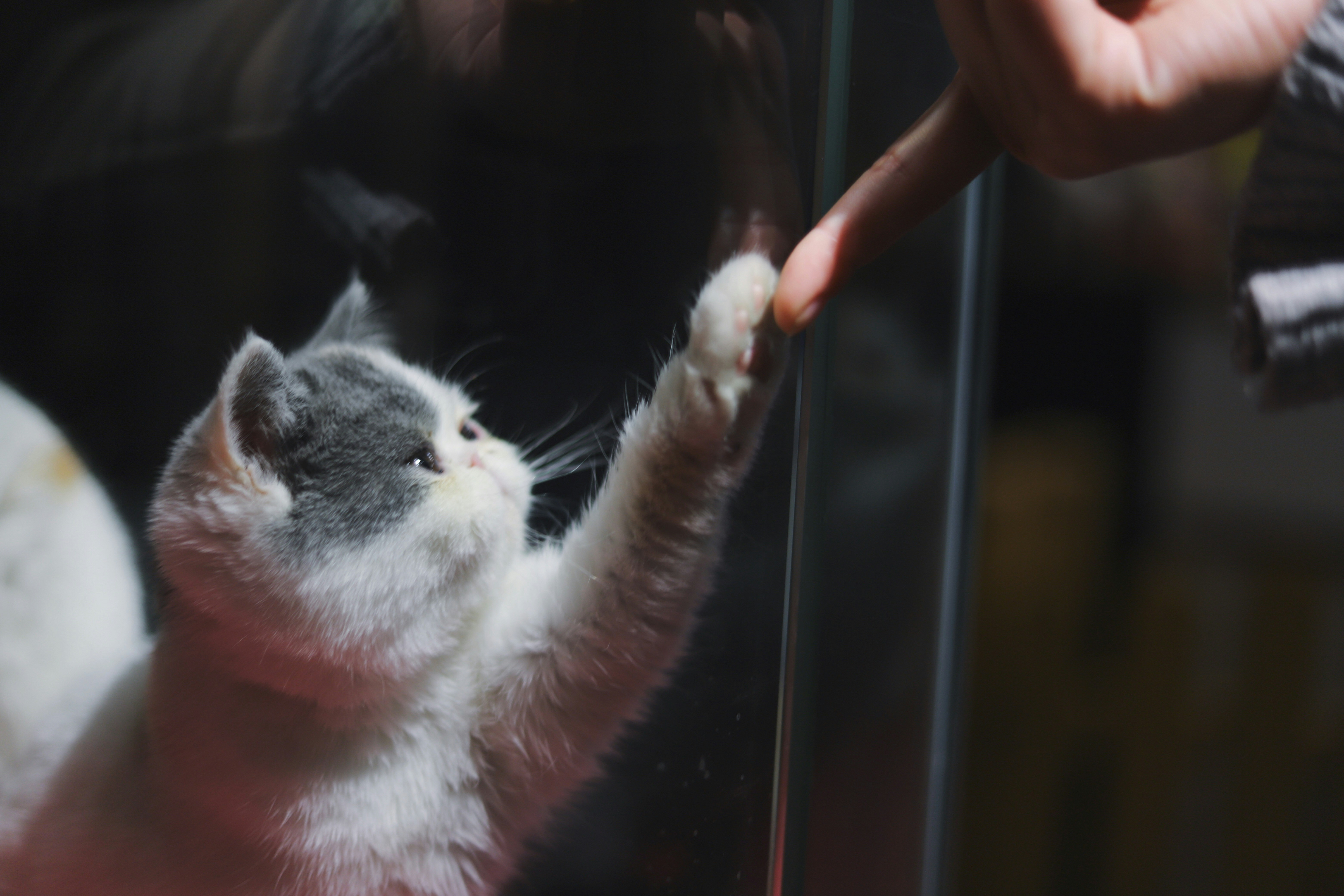 写真: