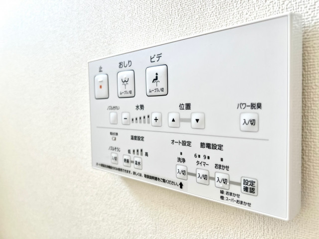 写真：