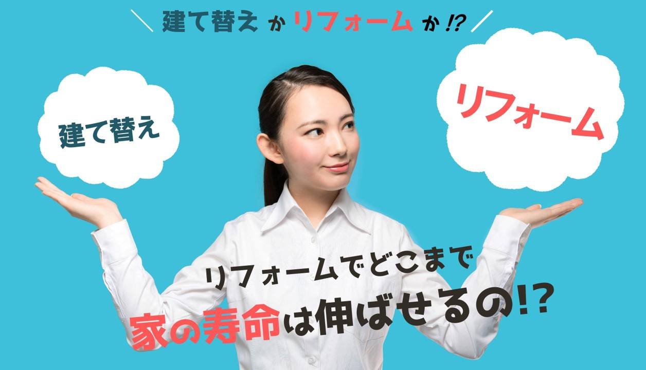 写真：