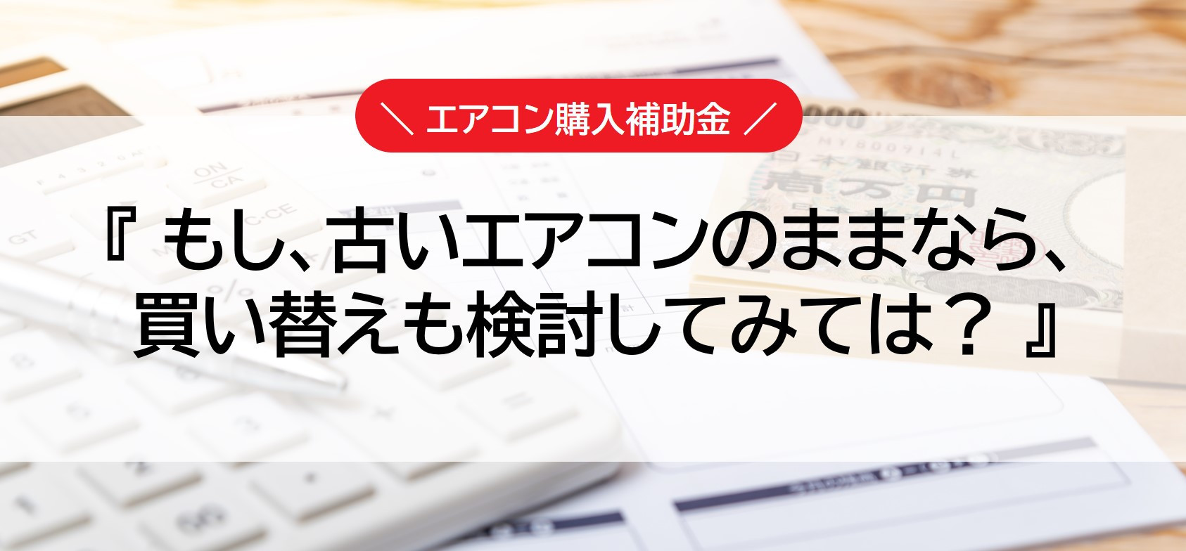 写真: