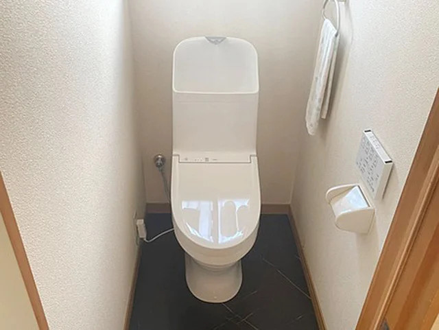 写真: