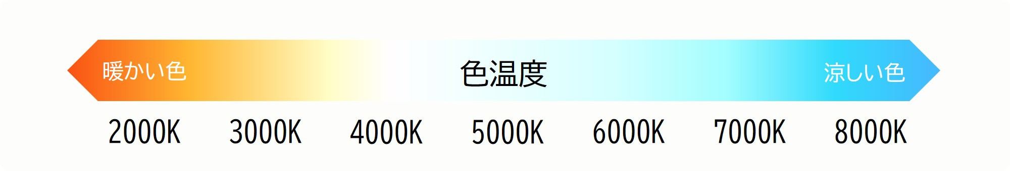 写真：