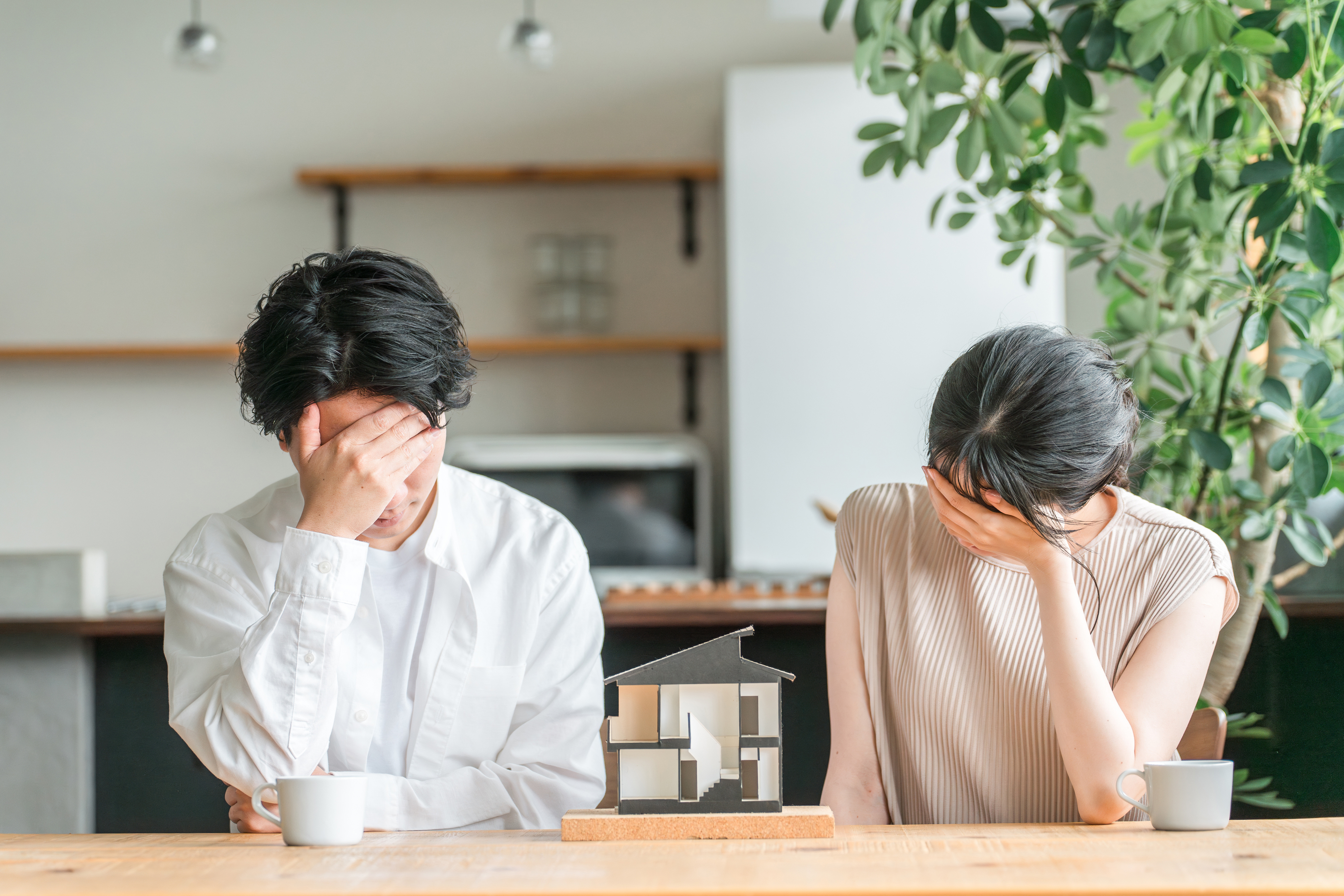 写真：