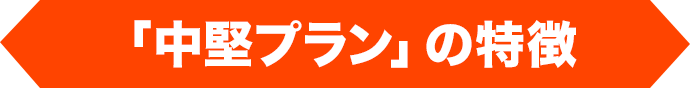 「中堅プラン」の特徴