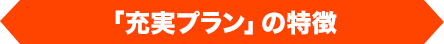 「充実プラン」の特徴